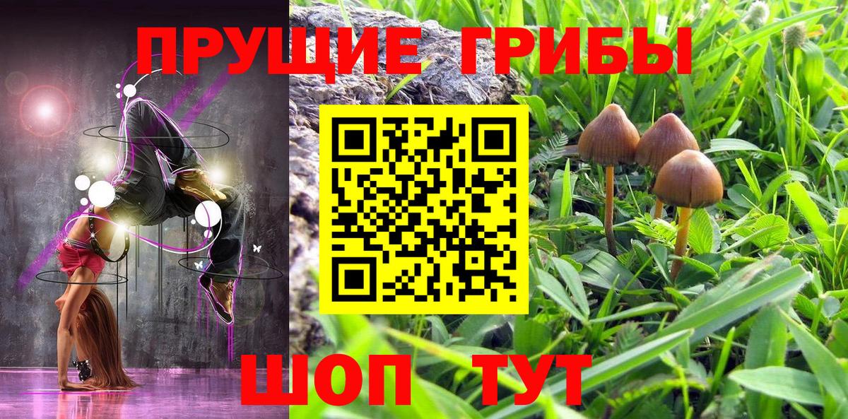 Псилоцибиновые грибы мицелий  Вход с VPN  Екатеринбург 